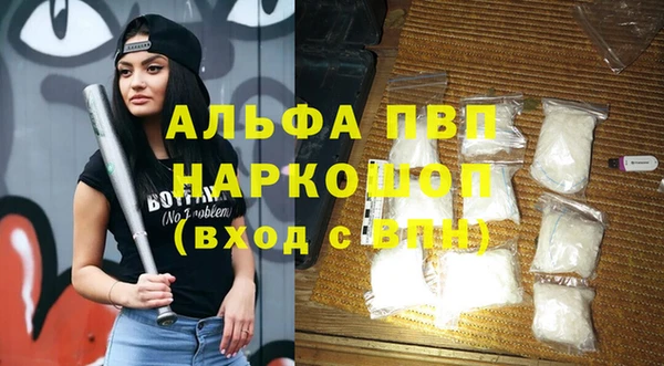 стаф Арсеньев