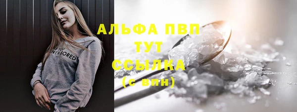 стаф Арсеньев