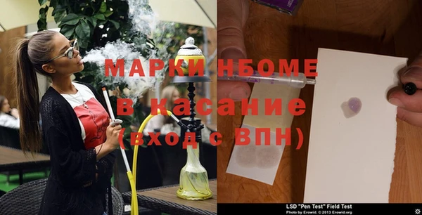 стаф Арсеньев