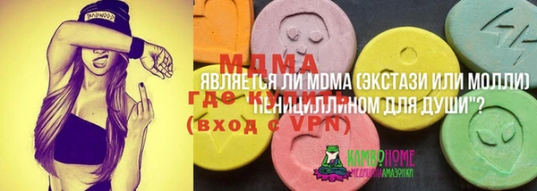 стаф Арсеньев