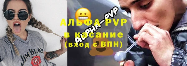 стаф Арсеньев