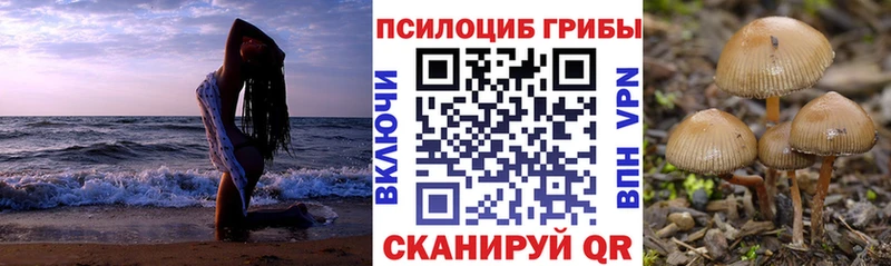 Купить закладки  Серафимович  Галлюциногенные грибы Magic Shrooms 